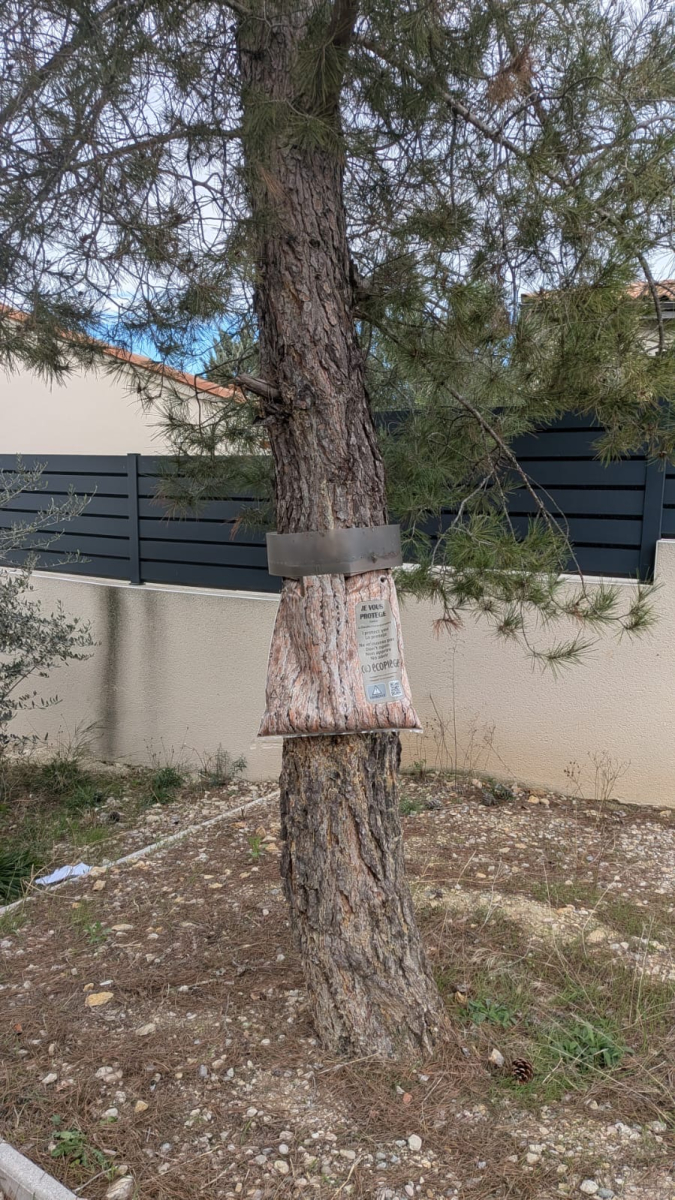 sac collecteur chenille processionnaire du pin