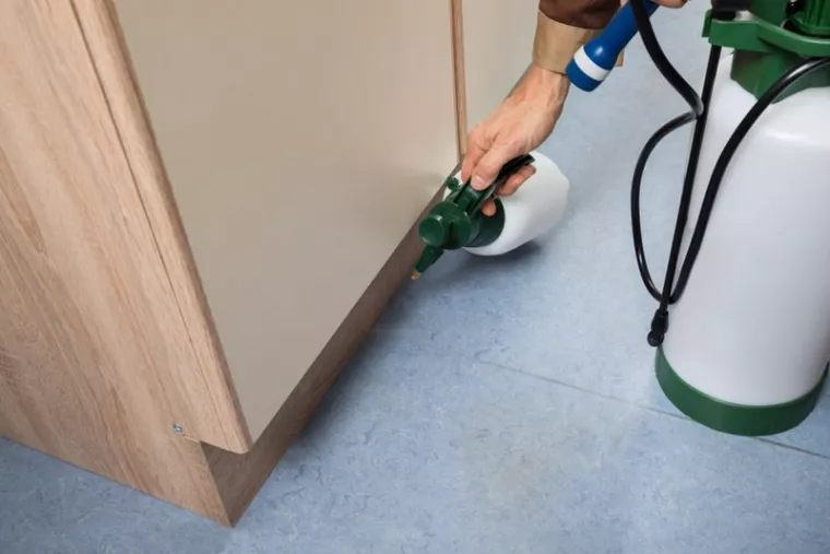 Entreprise pour désinsectisation d'immeubles à Saint-Jean-de-Védas, Montpellier, RADICAL ANTI-NUISIBLE