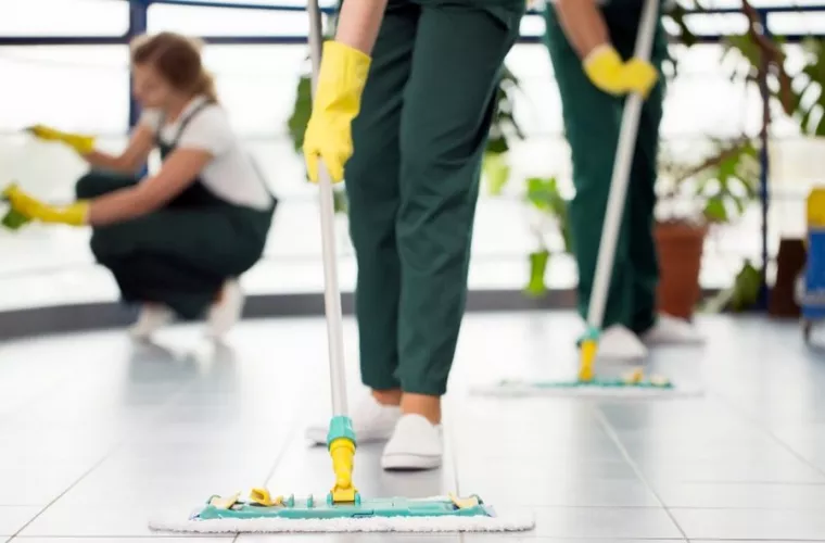 Quels sont les produits utilisés pour une désinfection ?, Montpellier, RADICAL ANTI-NUISIBLE